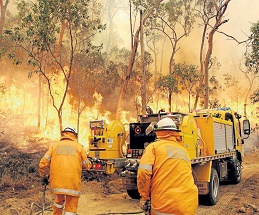 Rural Fire Service fire image